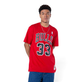 #33 Scottie Pippen Chicago Bulls T-Shirts Player Name and Number