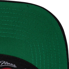 Mitchell & Ness Black Evergreen Snapback Cap