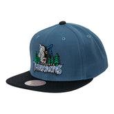 Minnesota Timberwolves Core Snapback Cap