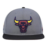 Chicago Bulls Core VII Pro Snapback Grey Snapback Cap