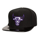 Chicago Bulls Day 11 Sneaker Hook Snapback Cap