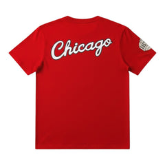 Chicago Bulls Teams Origin T-Shirt