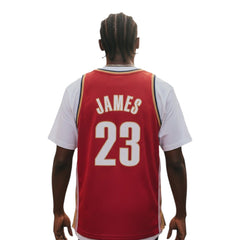 #23 Lebron James 2003 Cleveland Cavaliers Swingman Jersey