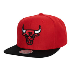 Chicago Bulls Snapback Caps Core