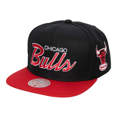 Chicago Bulls Team Script 2.0 Teal Snapback Cap