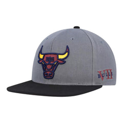 Chicago Bulls Core VII Pro Snapback Grey Snapback Cap