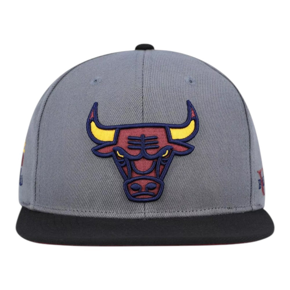 Chicago Bulls Core VII Pro Snapback Grey Snapback Cap