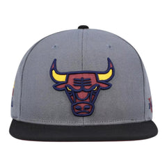 Chicago Bulls Core VII Pro Snapback Grey Snapback Cap