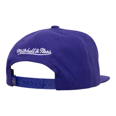 Charlotte Hornets Core Snapback Cap