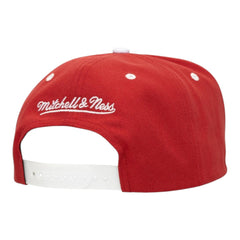 Detroit Red Wings Core Snapback Cap