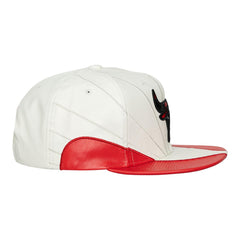 Chicago Bulls Day 12 Sneakerhook Snapback Cap