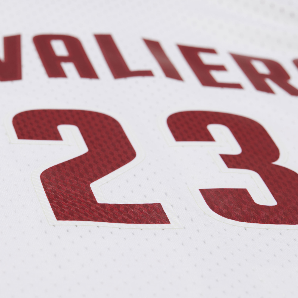 #23 Lebron James 2015 Cleveland Cavaliers Swingman Jersey