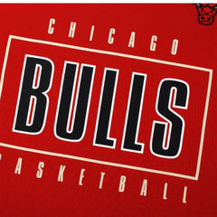 Chicago Bulls Teams Origin T-Shirt