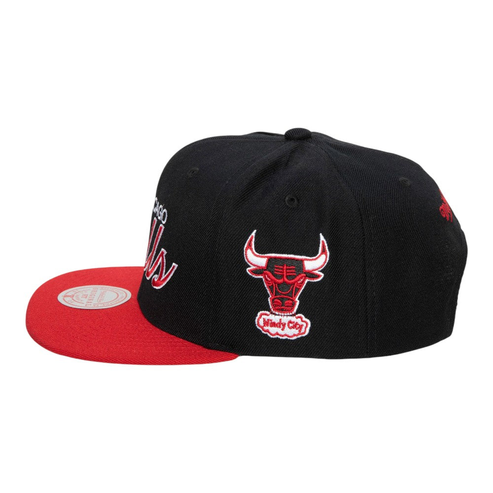 Chicago Bulls Team Script 2.0 Teal Snapback Cap